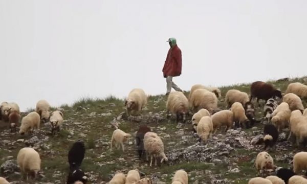 NË KËRKIM TË KULLOTAVE…/ Rituali shekullor që po mbahet ende gjallë në jugun e Shqipërisë