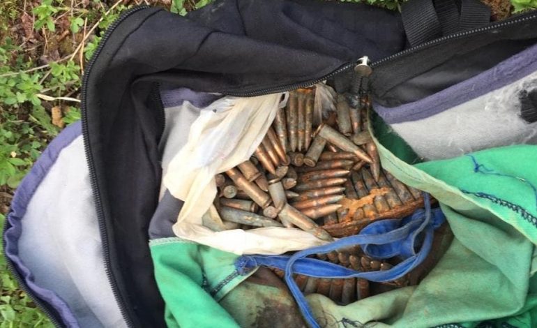 “DY TË RINJ ME ARMË”/ Qytetarët e alarmuar njoftojnë policinë. Kur shkojnë efektivët… (FOTO)