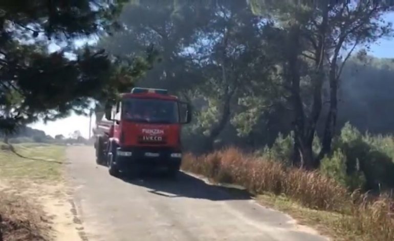 ZJARR I MADH NË PATOS/ Rrezikohet të digjet sipërfaqja me ullinj, e vështirë…