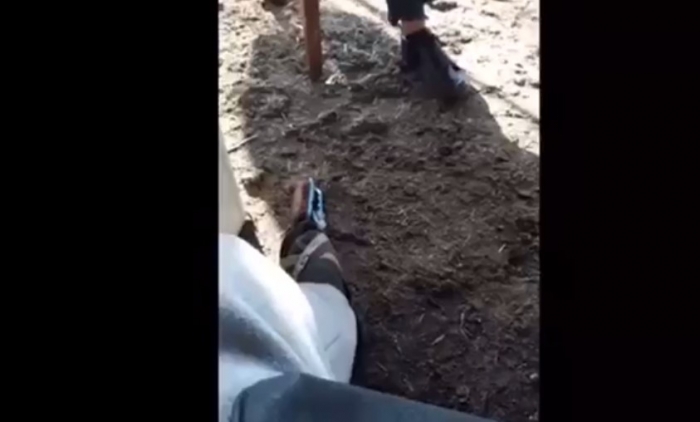 PUBLIKOHET VIDEO SHOKUESE/ Një nga viktmat e Shkodrës paralajmëroi vrasjen e tij (FILMIMI QË BËRI VETË)