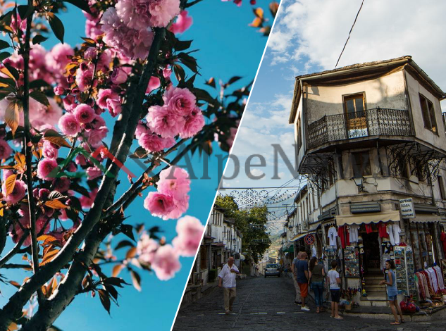 PRANVERË NË GJIROKASTËR/ “Photo of the day”. Kur lulet lulëzojnë dhe pemët çelin