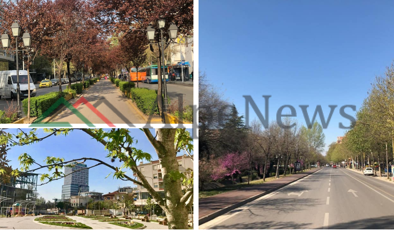 NË ÇDO CEP TË SAJ/ Tirana “pushtohet” nga gjelbërimi pranveror (PAMJET)
