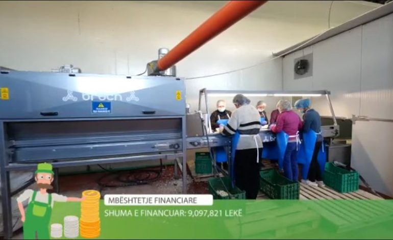 RAMA PUBLIKON VIDEON/ “Me këtë shembull domethënës të suksesit në agropërpunim ju uroj…”