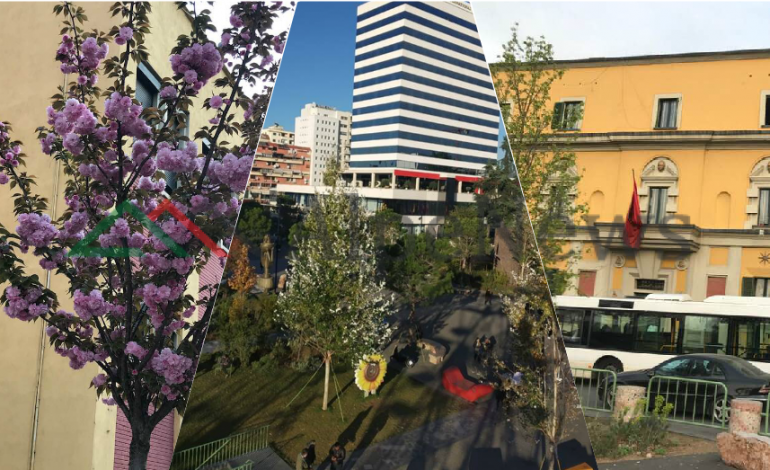 NË “ZEMËR” TË SAJ/ Pamjet pranverore nga qendra e Tiranës (FOTOT)