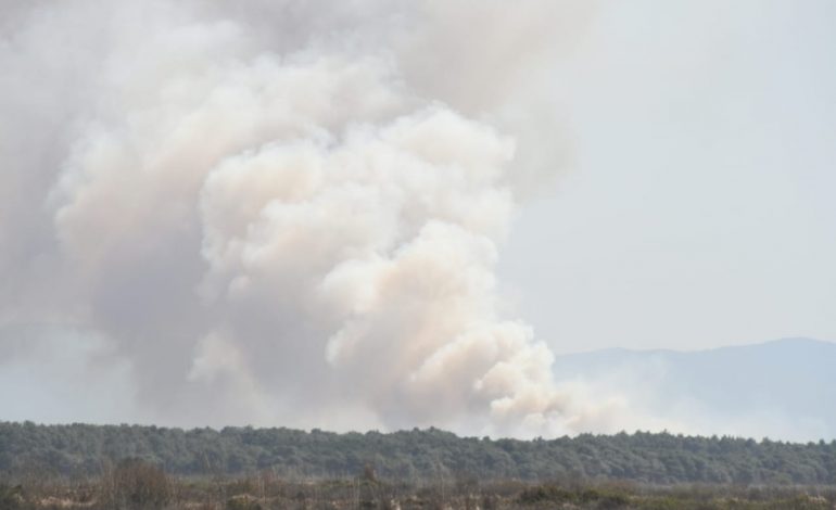PUBLIKOHET LISTA/ Ministria e Mbrojtjes: 248 vatra zjarri në gjithë Shqipërinë. U arrestuan…