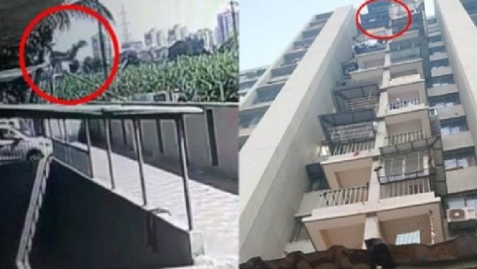 TRONDITËSE/ Ra nga kati i 6-të i një pallati, ndërron jetë vogëlushi 2-vjeçar