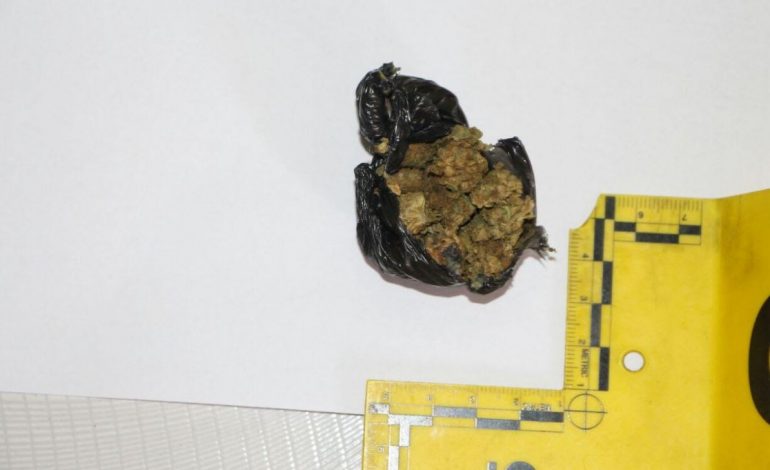 KAPEN NË LOKAL SHPËRNDARËSIT E DROGËS/ Dy në pranga në Kurbin, policia jep detaje
