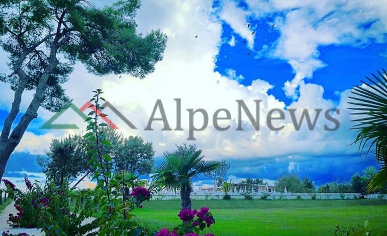 SI PIKTURË/ Photo of the day. Në Divjakë, aty ku natyra është thjeshtë… perfekte!