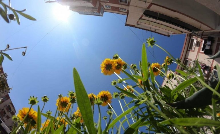SURPRIZAT E MOTIT/ E mërkurë, 22 maj: Temperaturat do të rriten dhe…
