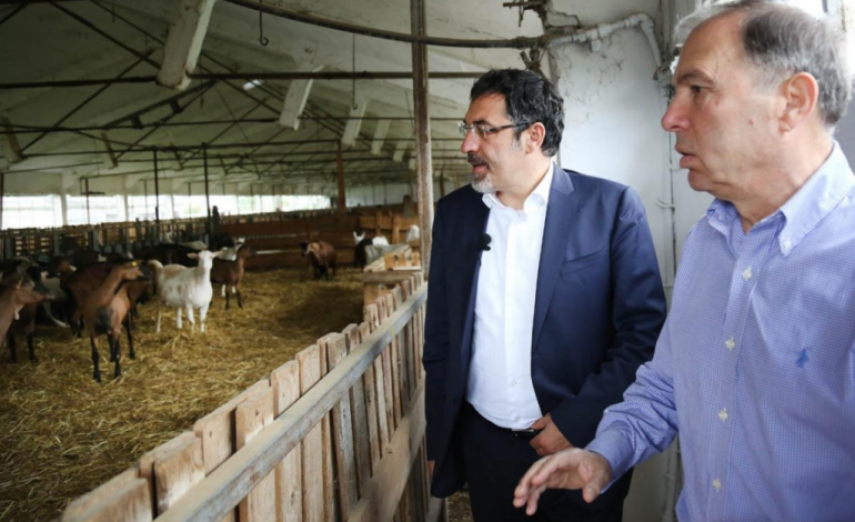 VIZITË NË “IMPULS”/ Çuçi: Shumë shpejt një paketë e veçantë në mbështetje të…