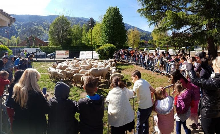 BOSHATISEN KLASAT/ Kompesojnë delet, rregjistrohen si nxënës (FOTO)
