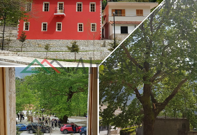 NË PERIFERI TË VLORËS/ Kur fshati Dukat duket si “qytezë” (PAMJET)