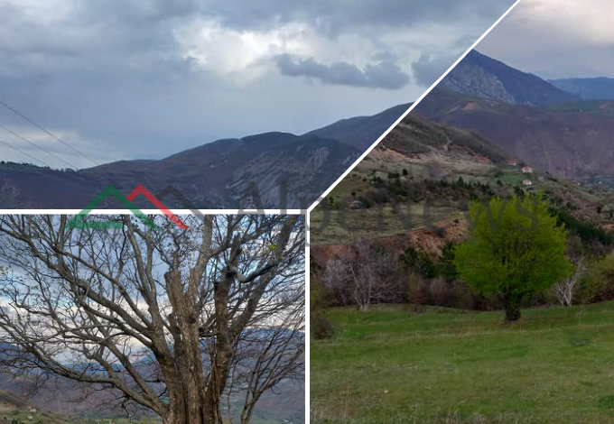 REÇI NË DIBËR/ Kur të huajt e duan, por banorët e “urrejnë”! (FOTOT)