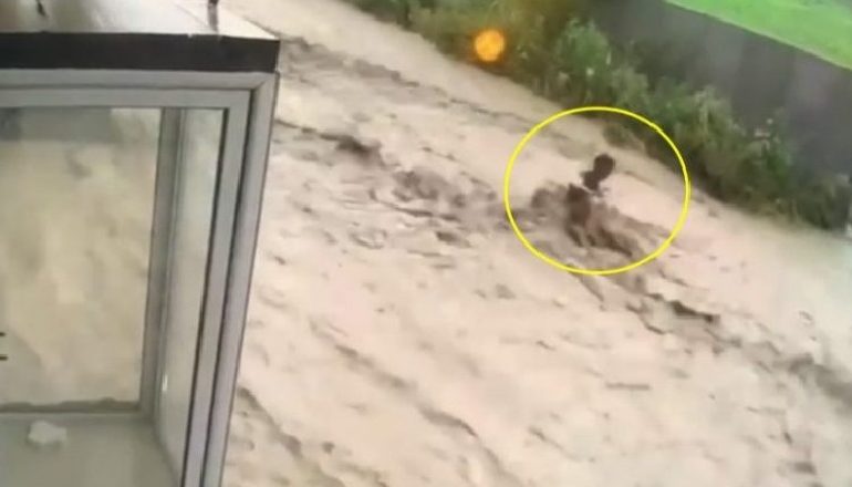 PAMJE TË FRIKSHME/ Rrebesh shiu në Kosovë, uji “MERR ME VETE” qytetarin (VIDEO)