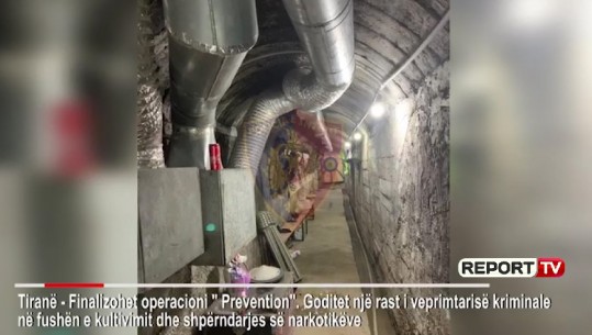 LLAMPA, VENTILATOR E PAJISJE ELEKTRIKE/ Zbulohet laboratori i kanabisit në Tiranë, një në pranga tre në kërkim (VIDEO)