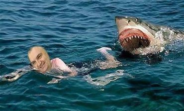 A do t'ia dalë Presidenti Meta të arrijë në breg pa u "ngrënë" nga peshkaqeni i Gjirit të Lalzit?!