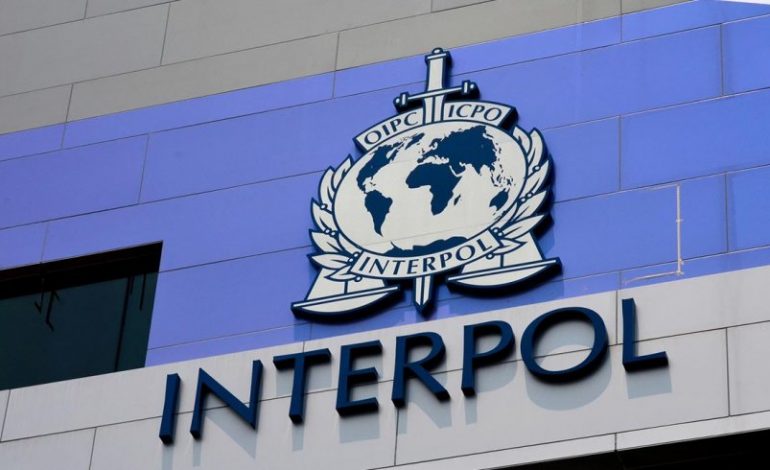E FUNDIT/ Interpol dhe Europol operacion në 70 vende të botës. Çfarë u sekuestrua në Shqipëri