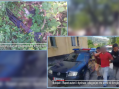 PLAGOSI 6-VJEÇARIN ME 3 PLUMBA NË FYTYRË/ Policia arreston autorin e dyshuar (VIDEO)