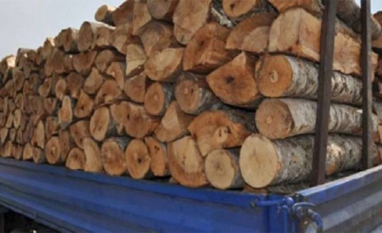 KAMIONI ME DRRU DEL NGA RRUGA/ Një i vdekur e një i plagosur në Bulqizë