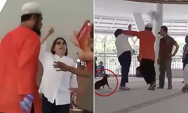 LEJOI QENIN TË HYNTE NË XHAMI/ Ja çfarë rrezikon gruaja katolike (VIDEO)