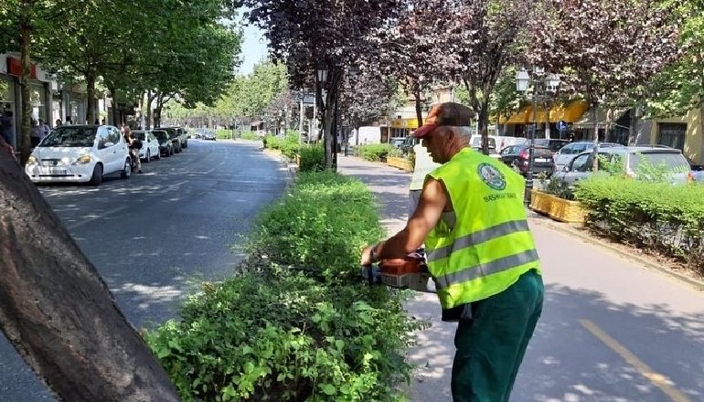 TIRANA E GJELBËRT/ Ja si bashkia e Tiranës përkujdeset për qytetin (FOTOT)