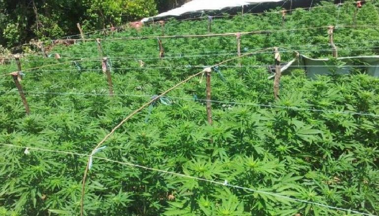 KISHTE KTHYER OBORRIN NË “SERË” DROGE/ Si e pësoi 20 vjeçari nga Lushnja kur…