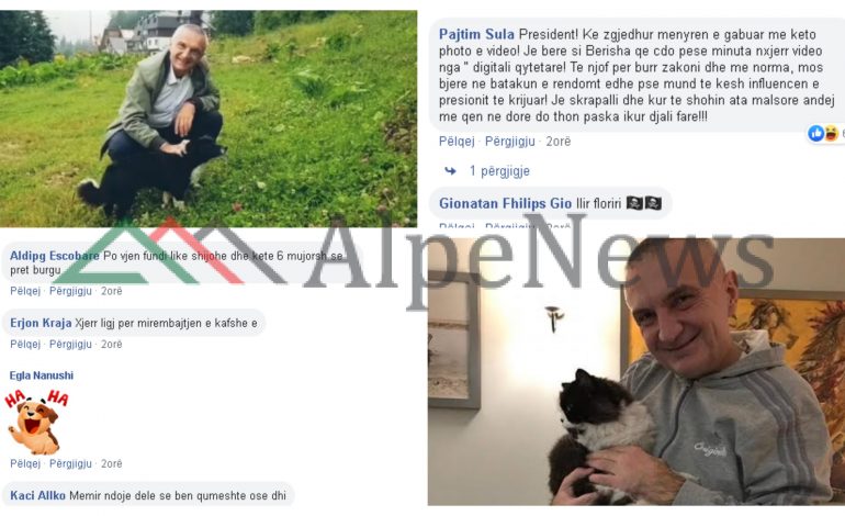 “MACET ME QENTË NUK SHKOJNË”/ Qytetarët “MASAKROJNË” Metën: Shijoje Like se po të pret burgu (FOTO)