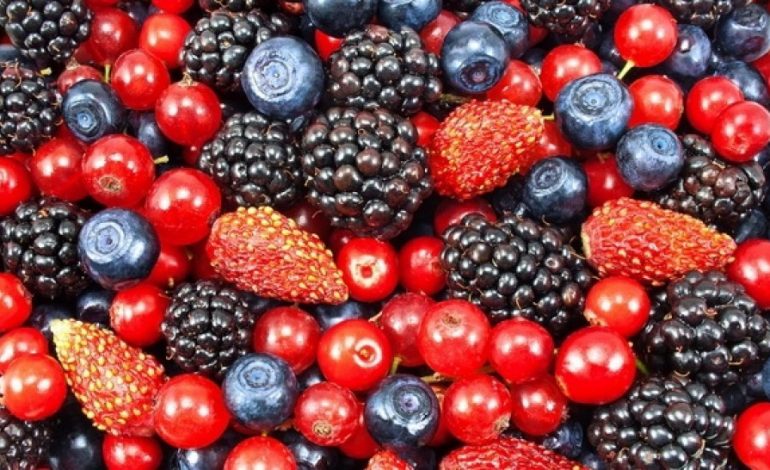 ME SIGURI NUK E DINIT! Ky është fruti që ju ndalon të plakeni