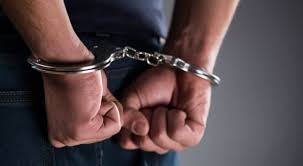SEKUESTROHET 300 KG KANABIS NË SHKODËR/ Arrestohen 5 persona