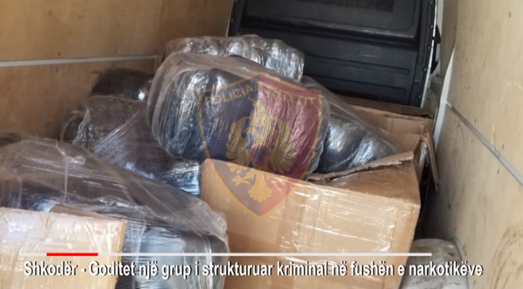 PESË TË ARRESTUAR PËR DROGË NË SHKODËR/ Policia jep detaje: Grup i strurkturuar kriminal, trafikonin lëndën narkotike në…