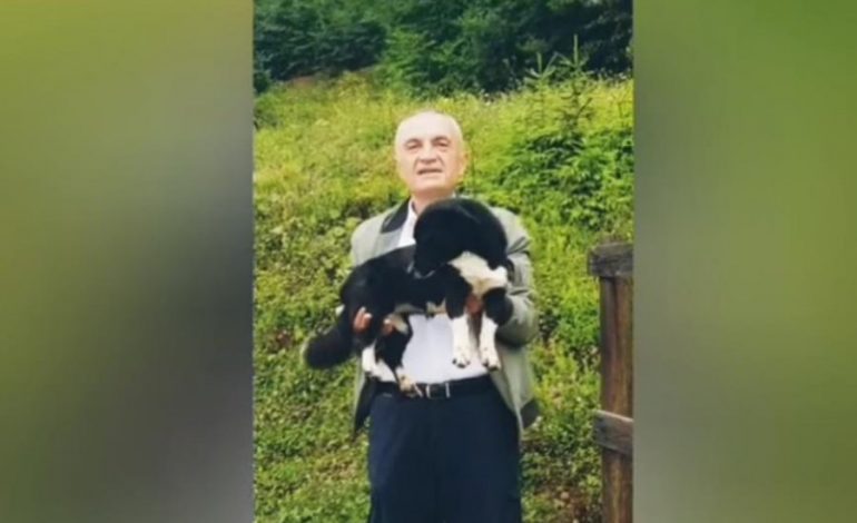 LAJTHITJA E PRESIDENTIT/ Ilir Meta takon edhe qentë rrugëve tani (VIDEO)