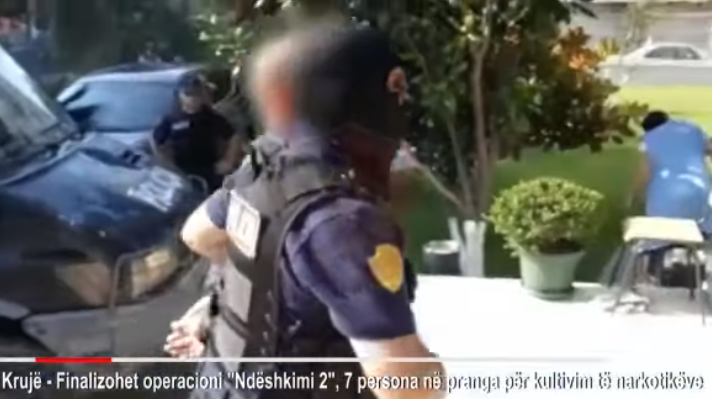 “NDËSHKIMI”/ Kultivonin kanabis, arrestohen 7 të rinj në, mes tyre një i mitur (VIDEO)