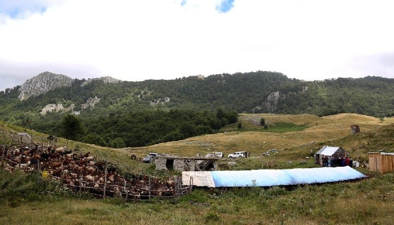 STANE ME PANELE DIELLORE NË SHËNGJERGJ/ Çuçi: Vitin tjetër subvencion për zgjerimin e tufave (FOTO)