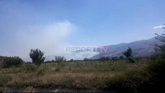 RËNDOHET SITUATA NË DROPULL/ Flakët hyjnë në Parkun Natyror të Goranxisë, Mbrojtja: Po bëjmë të pamundurën
