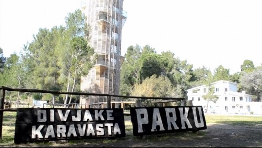 “QETËSI DHE MREKULLI”/ Turistët mahniten nga Divjaka: Perlë e Shqipërisë (VIDEO)