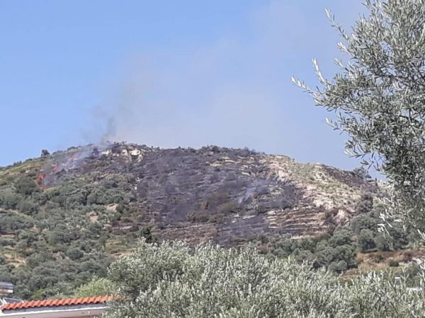 ZJARR NË FIER/ Flakët “pushtojnë” sipërfaqen me ullinj, banesat…