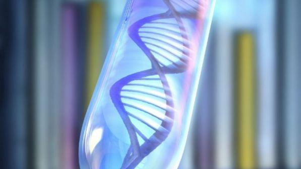 GJENDET NGA SE BURON/ Shkencëtarët  publikojnë hulumtimin gjenetik më të gjerë, ja nga se buron