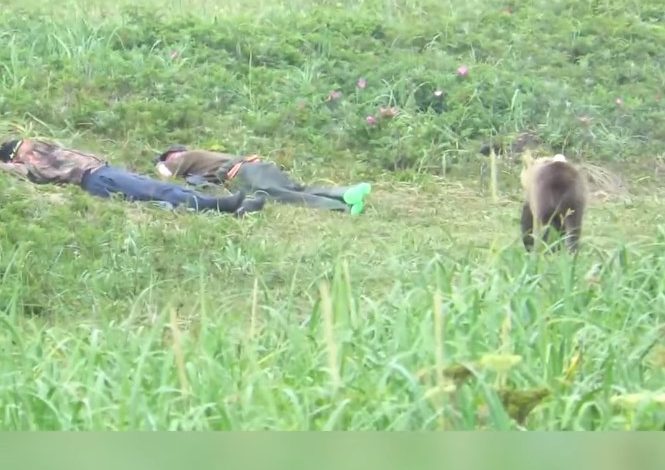 PO FLININ SI QINGJA/ Momenti kur fermerët zgjohen të tm erruar nga një ari (VIDEO)