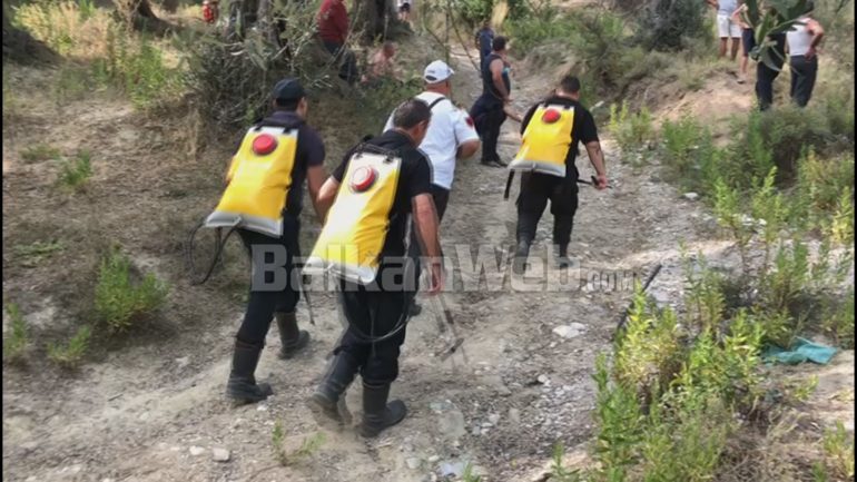 PANIK NË FIER/ Zjarri i madh shkrumbon pyllin, rrezikohen banesat (VIDEO)
