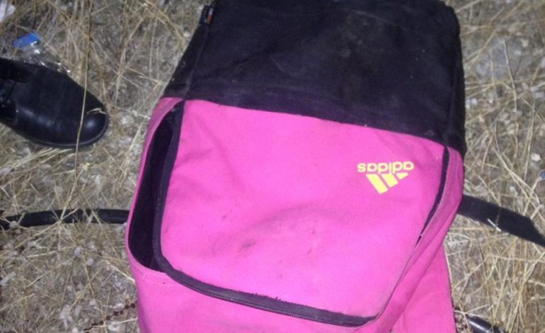 KAPEN TRE TË RINJ NË KUFI/ Greku që i priste u zbulua nga policia. Detajet e operacionit (FOTO)