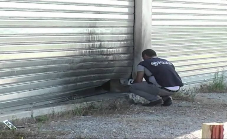 E FUNDIT/ Tritol parukerisë së një gruaje në Nikël, policia jep detajet: Mbrëmë…