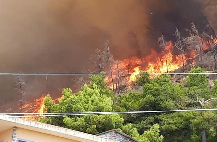 SHËNGJINI NË FLAKË/ Kapen 2 persona. Policia jep detajet: I vunë zjarrin malit me qëllim që…