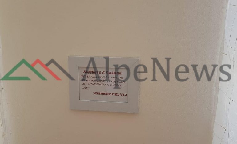FOTO E DITËS/ Dedikimi i ëmbël i nxënësve në Peqin, për mësuesen e tyre