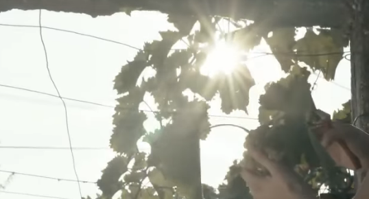 “SOFAT FESTIVAL” NË GJIROKASTËR/ Një përvojë interesante për të mos u humbur sot