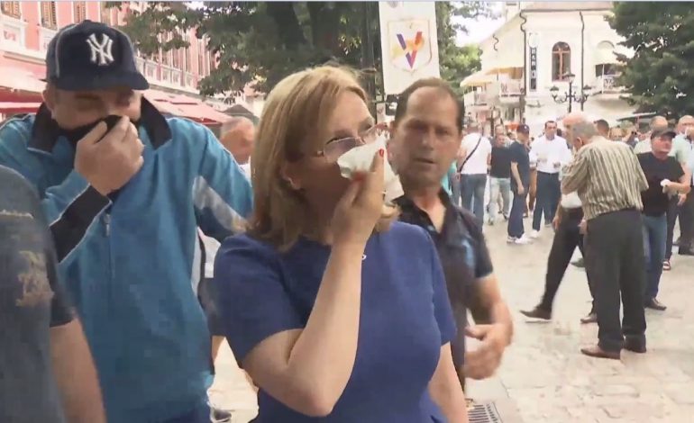 VOLTANA ADEMI NUK KA IKUR/ Sfidon qeverinë: Menaxhimi i liqenit, nga pushteti vendor