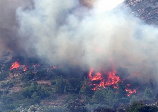 NDODH NË KORFUZ/ 39-vjeçari shqiptar arrestohet për zjarrvënie