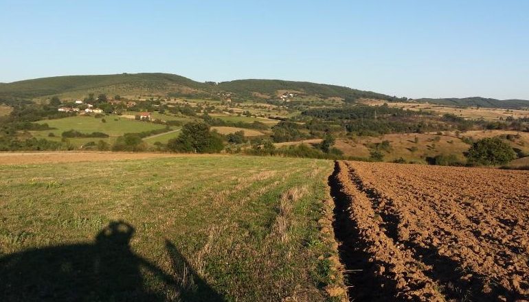 AGJENSIA E PRONAVE/ Kompensimi, emrat e pronarëve që përfitojnë 1.2 milionë euro