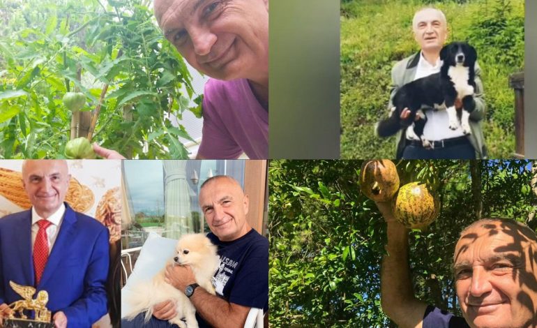 “Darka e fundit” e Leonardo Da Vinçit dhe përsheshngrënësit e Likes