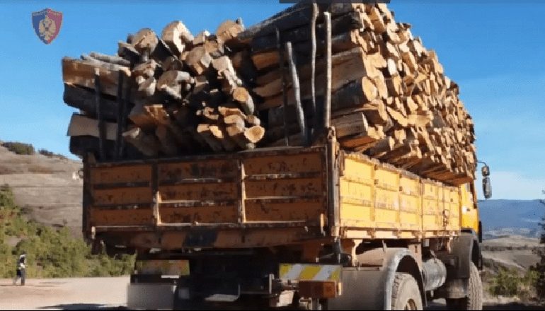 ELBASAN, GJASHTË PERSONA NËN HETIM/ Transportonin dru me kamionë
