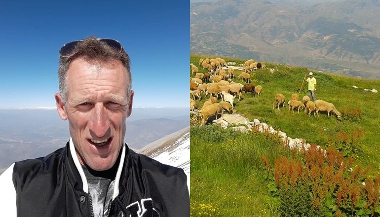 FOTO BRENDA SPITALIT/ Ja si duket bariu kuksian që u sulmua nga ariu (PAMJET)